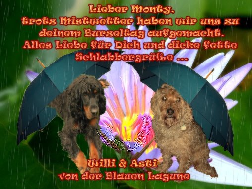 Kostenlos