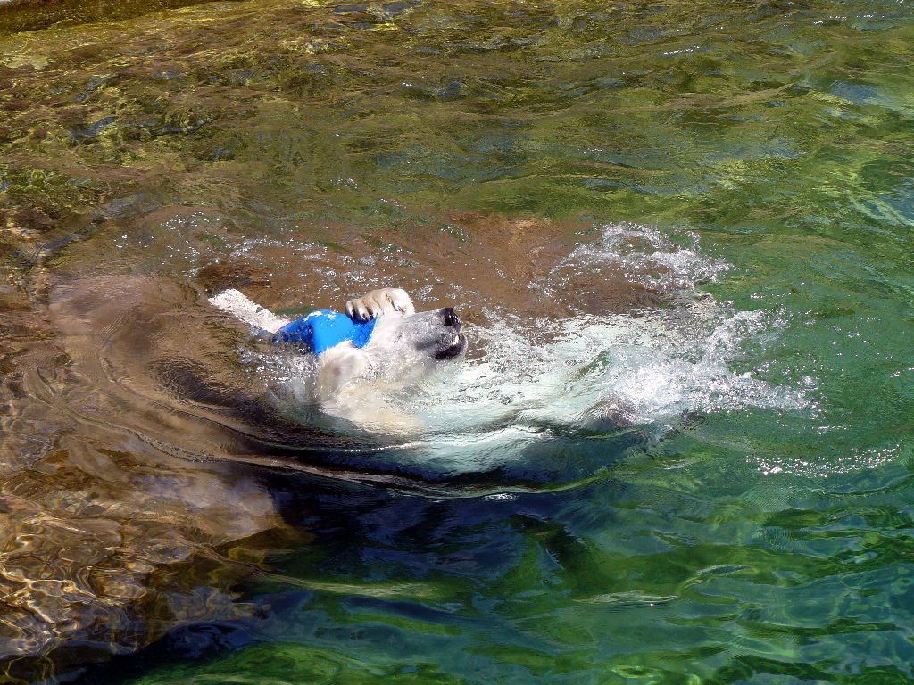 Vera im Zoo Nürnberg